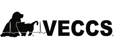 AmberCare Veterinary Clinic | View All Services, Dental Care and Spay & Neuter