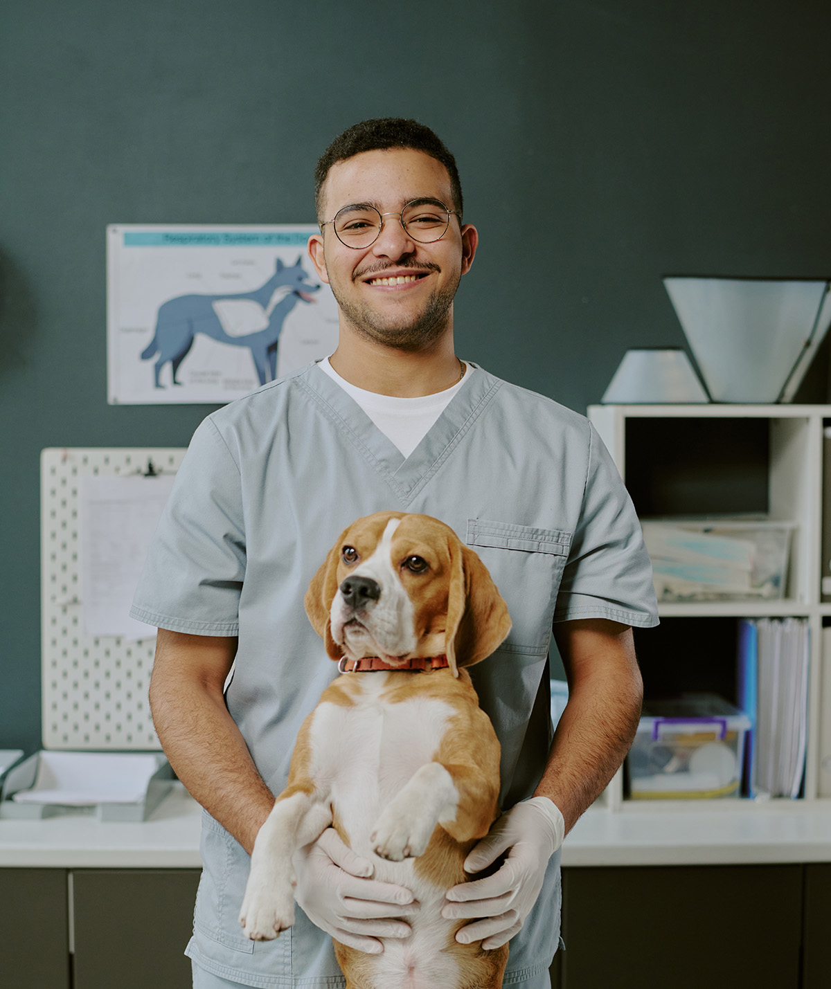 AmberCare Veterinary Clinic | Travel Health Certificates, Telehealth Consults and Preventive Care & Wellness Exams