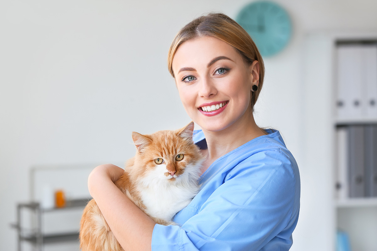 AmberCare Veterinary Clinic | Senior Pet Care, Spay & Neuter and Exotic Pet Care