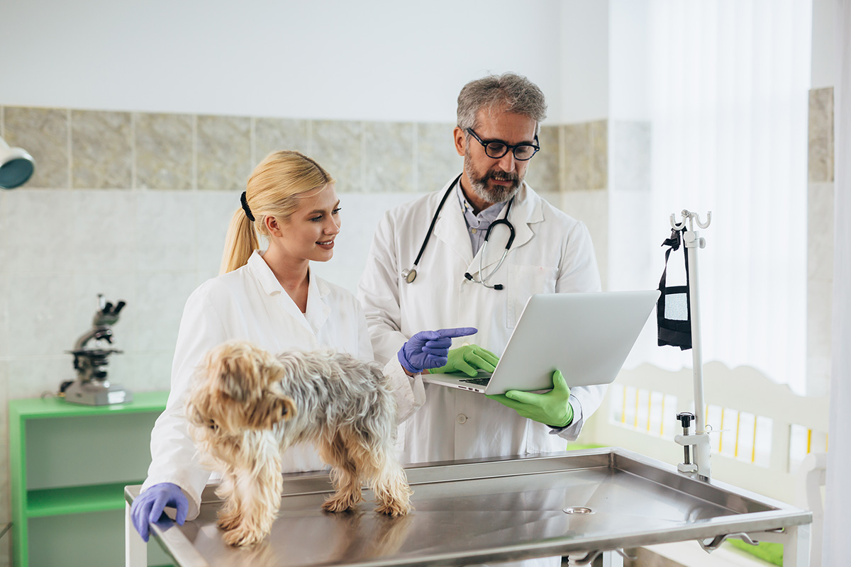 AmberCare Veterinary Clinic | Pharmacy, Preventive Care & Wellness Exams and Urgent Care